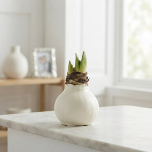 White Wax Flower Christmas Decoration