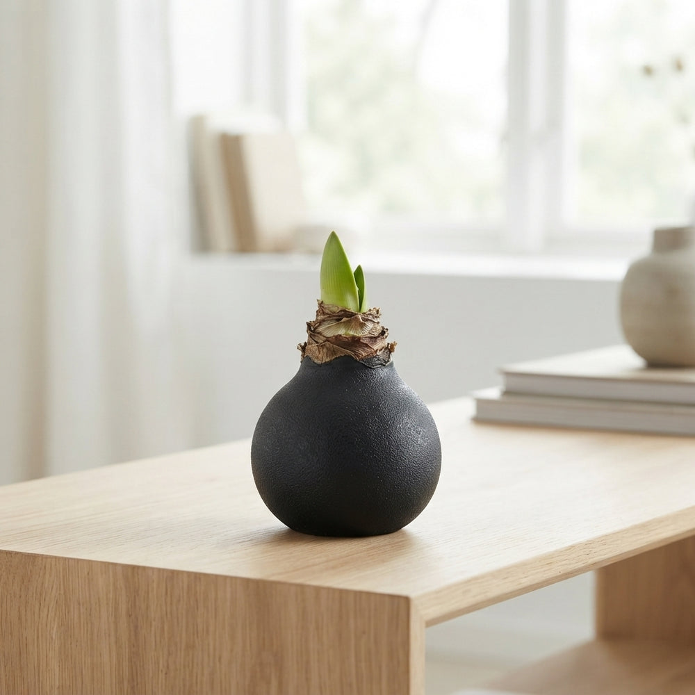 Black Wax Hipp Plant Decoration – 20cm