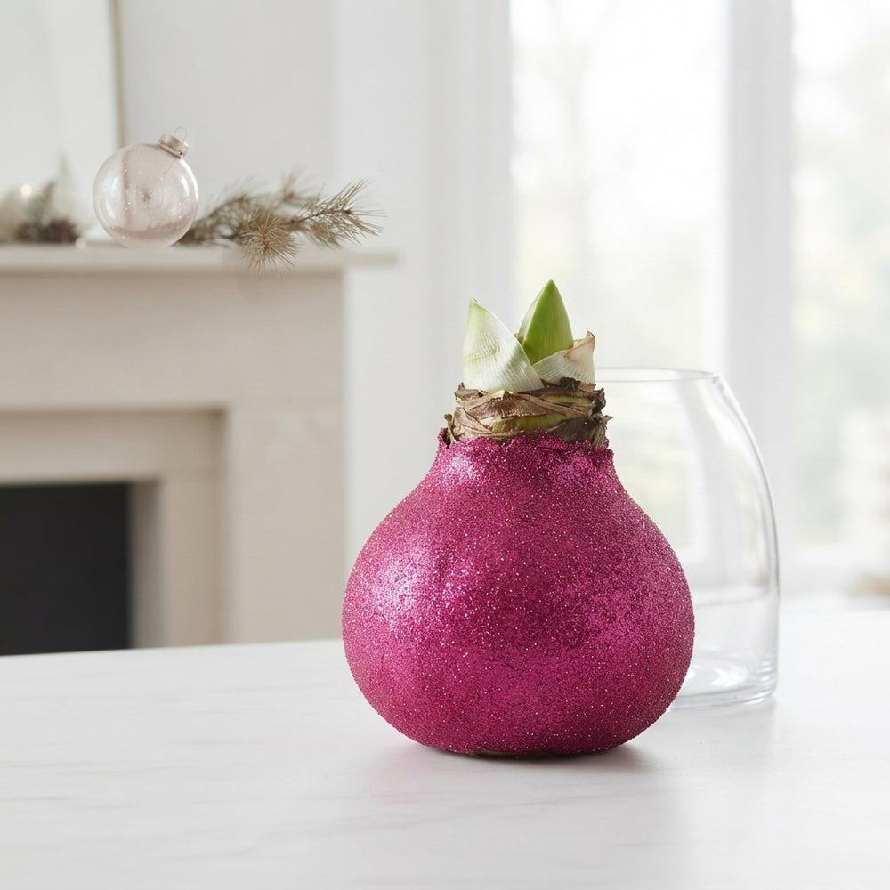 Fuchsia Pink Wax Hyacinth Christmas Decoration
