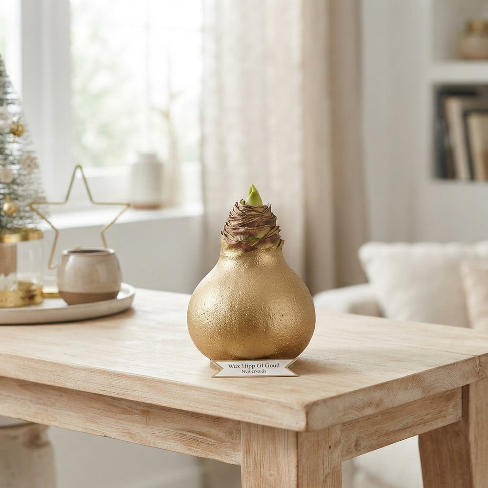 Gold Wax Hyacinth Christmas Decoration