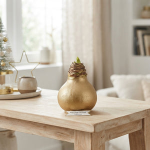Gold Wax Hyacinth Christmas Decoration