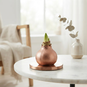 Copper Wax Hippopotamus Christmas Decoration – 20cm