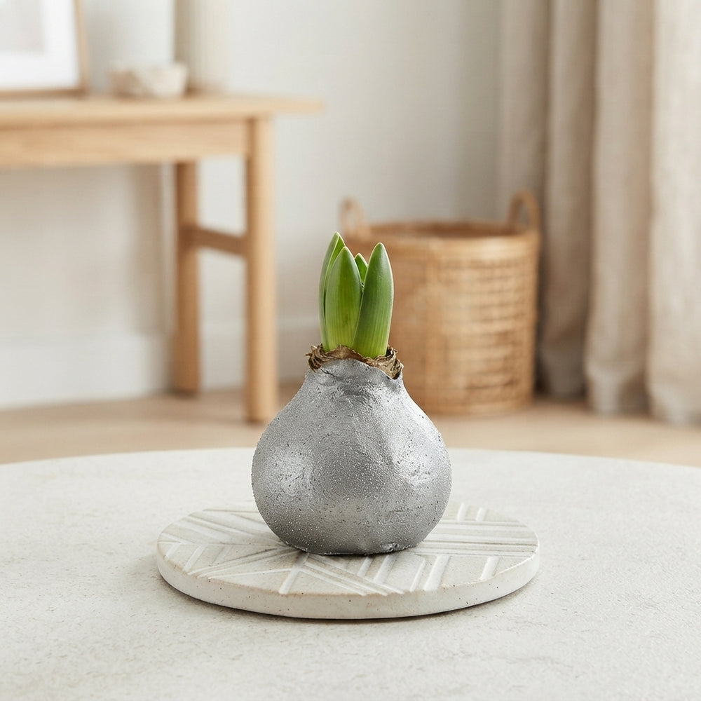 Grey Wax Hipp Grass Decoration – 20cm