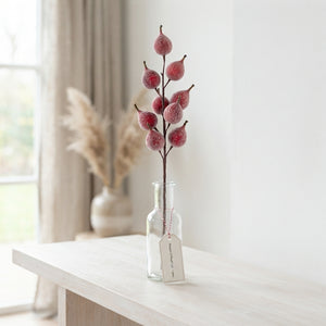 Red Waxed Christmas Decoration