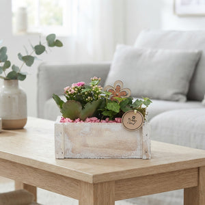 White Plant Arrangement – 20cm Wooden Pot
