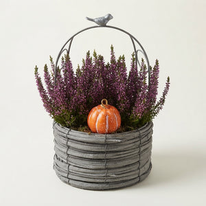 Indoor Plant Arrangement – 22cm Pot