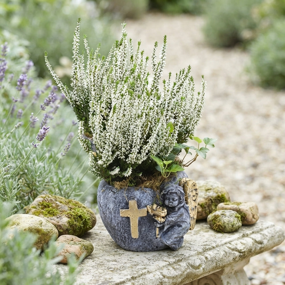 All Saints’ Day Plant Arrangement – 17cm Concrete Pot