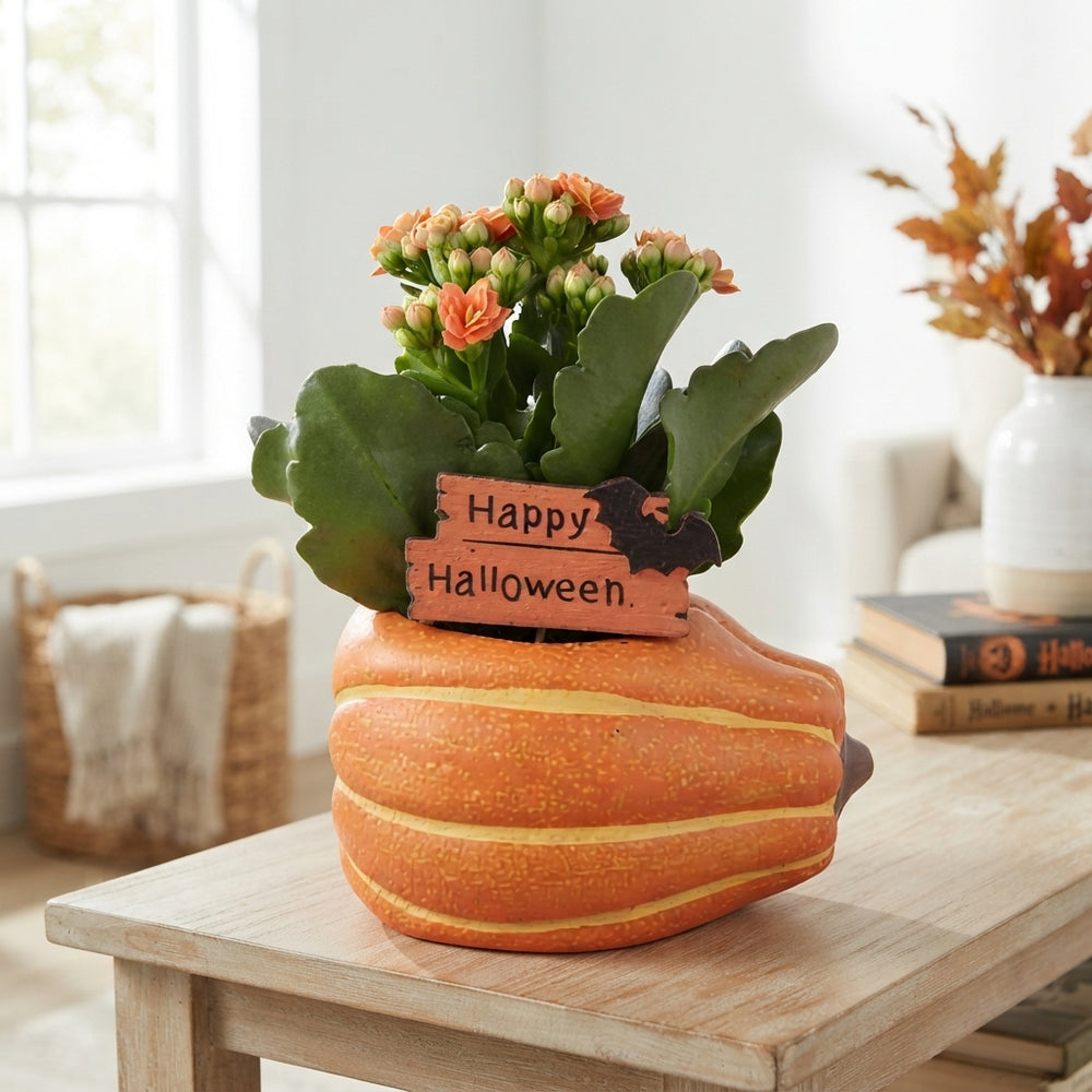Halloween Pumpkin Ceramic Indoor Plant Arrangement – 12cm Pot