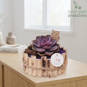 Autumn Purple Plant Arrangement – 30cm Oval Wooden Pot