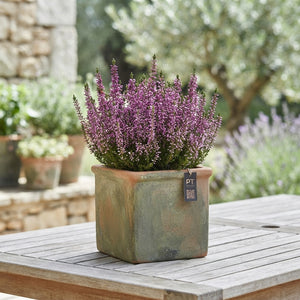 Autumn Outdoor Plant Arrangement – 20cm Terracotta Dish