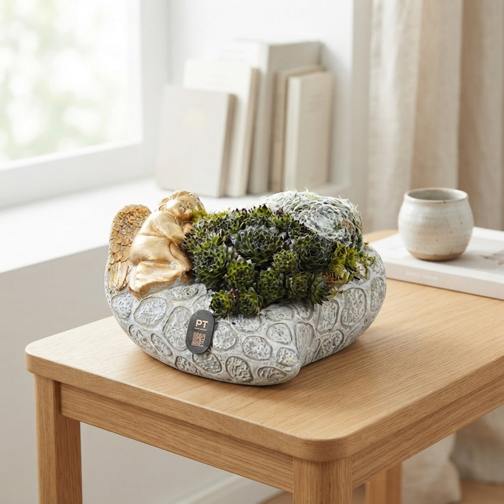 Heart-Shaped Concrete Plant Arrangement – 20cm