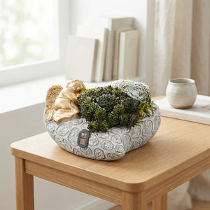 Heart-Shaped Concrete Plant Arrangement – 20cm