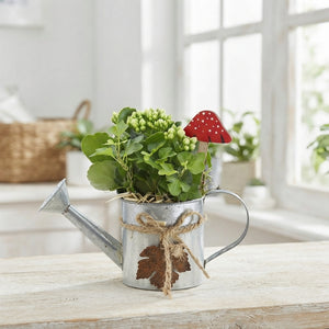 Indoor Plant Arrangement in Zinc Watering Can – 23cm