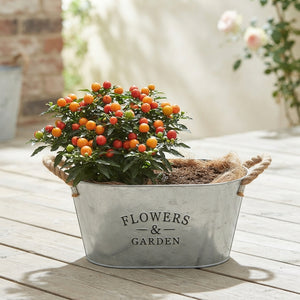 Mixed Flower Arrangement in Oval Zinc Pot