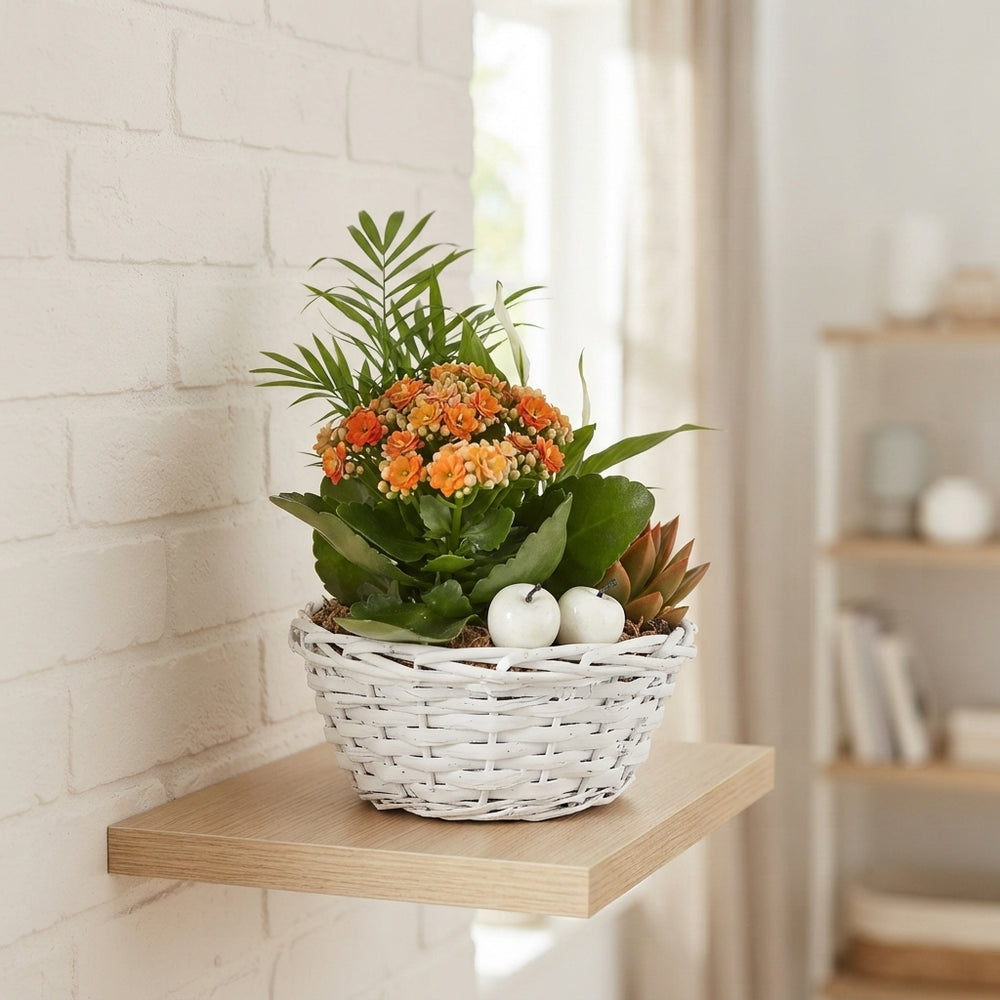 Mixed Colour Floral Arrangement – 3-Stem Bunch