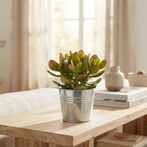 Mixed Floral Arrangement in Zinc Bucket