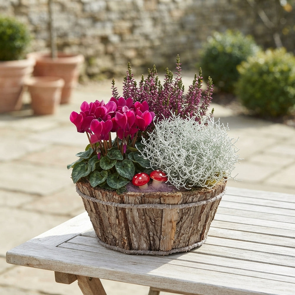 Mixed Natural Bark Arrangement