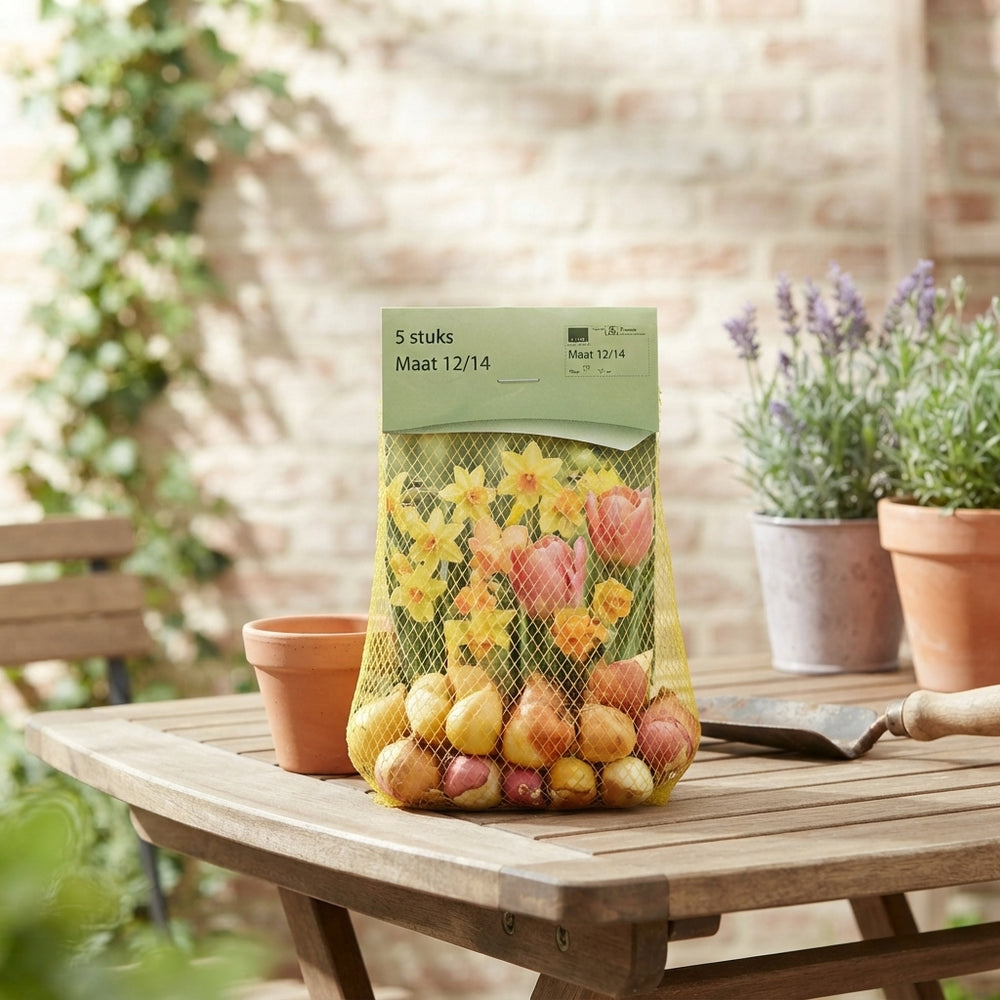Mixed Flower Bulb Gift Bags