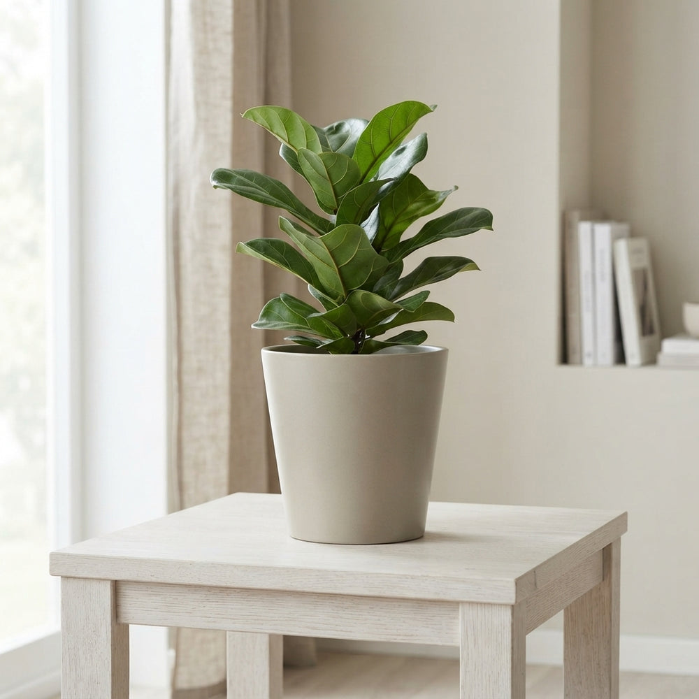 Taupe Ceramic Plant Pot – 16cm