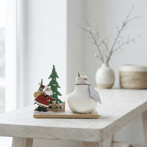 Winter Wonderland Waxed Amaryllis (Hippeastrum) – 2 Stems