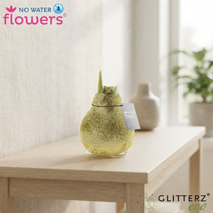 Mixed Glitter Waxed Amaryllis Bulb – 2 Stems