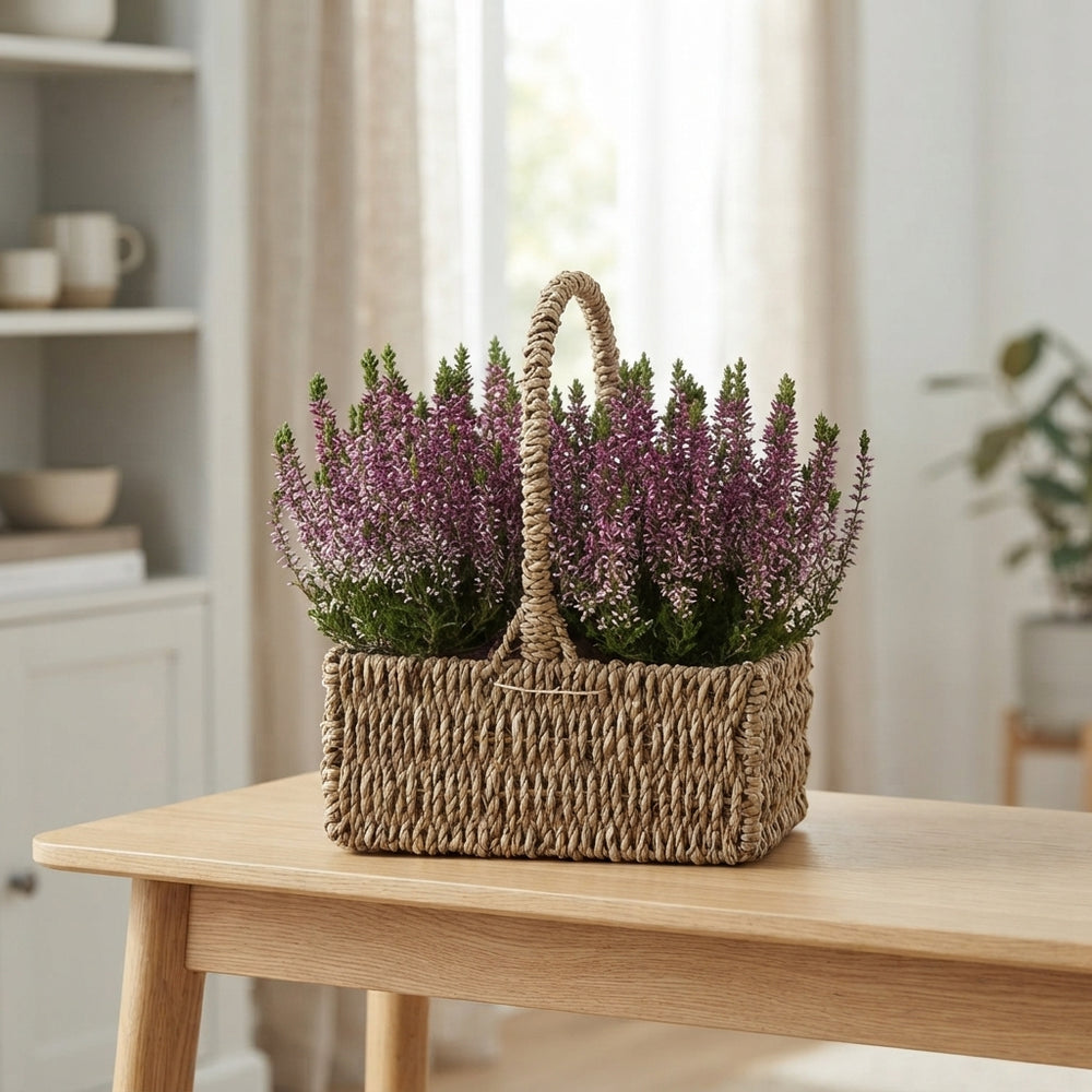 Mixed Colour Seagrass Hanging Basket Arrangement