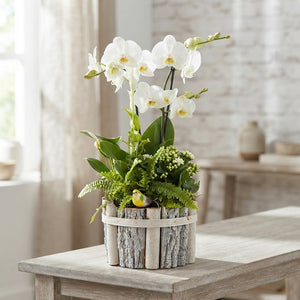 Round Beechwood Arrangement – Mixed Colour