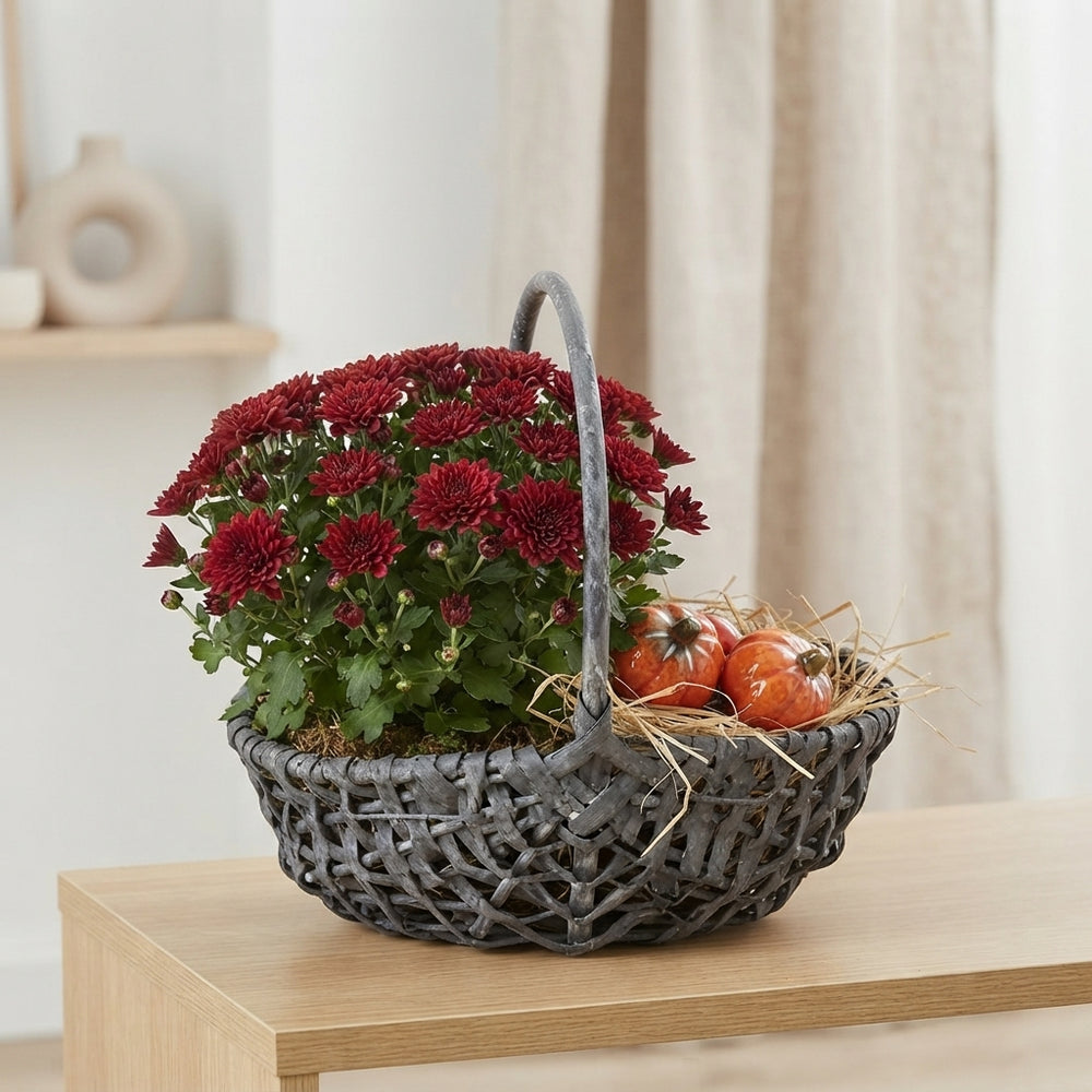 Mixed Colour Arrangement in Grey Harvest Basket