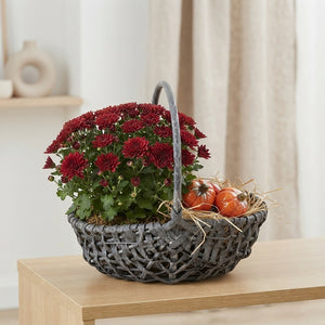 Mixed Colour Arrangement in Grey Harvest Basket