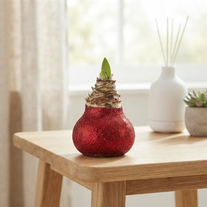 Mixed Colour Waxed Decorative Plant Arrangement