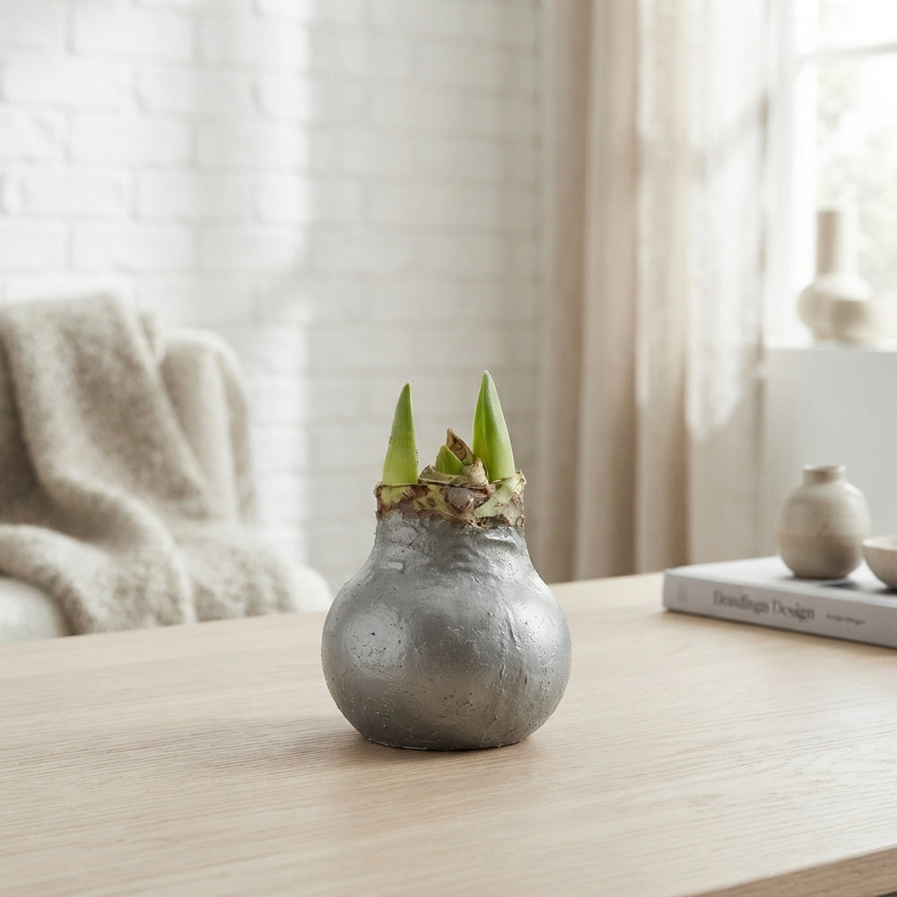 Grey Wax Hipp Topiary Decoration – 20cm