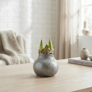Grey Wax Hipp Topiary Decoration – 20cm