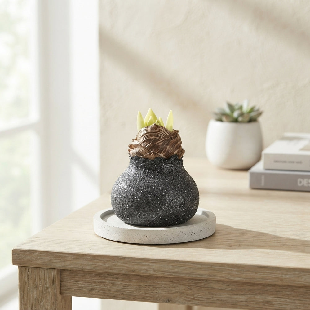 Grey Wax Hipp Decoration – 20cm