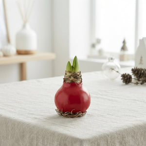 Red Wax Amaryllis-Style Christmas Decoration