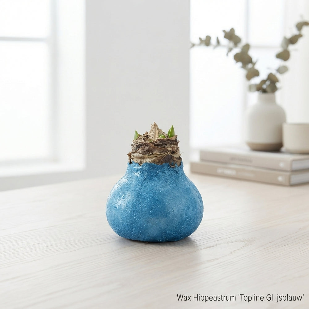Pale Blue Wax Hipp Christmas Decoration – 20cm