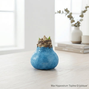 Pale Blue Wax Hipp Christmas Decoration – 20cm