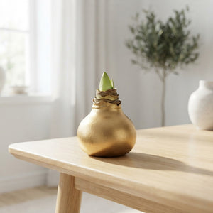 Gold Waxed Hyacinth Bulb Decoration