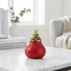 Mixed Colour Wax Hyacinth Christmas Decoration