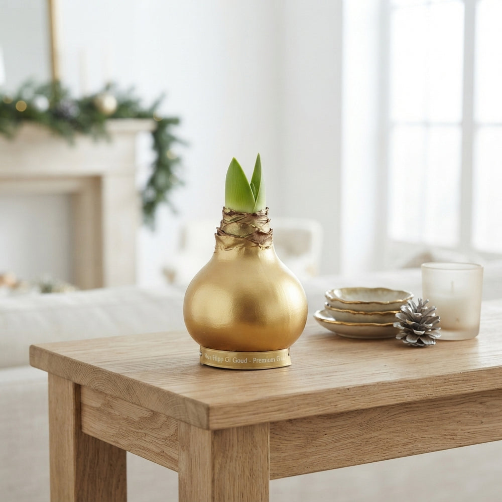 Gold Wax Hyacinth Decoration – 20cm