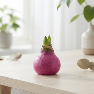 Fuchsia Pink Waxed Christmas Decoration – 20cm