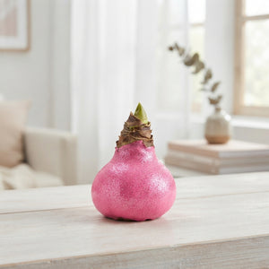 Pink Wax Flower Decoration – 20cm