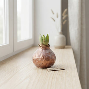 Copper Wax Hyacinth Christmas Decoration – 20cm