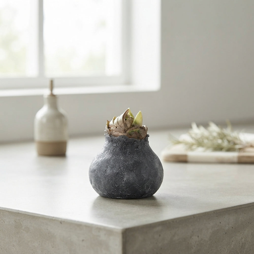 Grey Wax Hipp Topiary Decoration – 20cm
