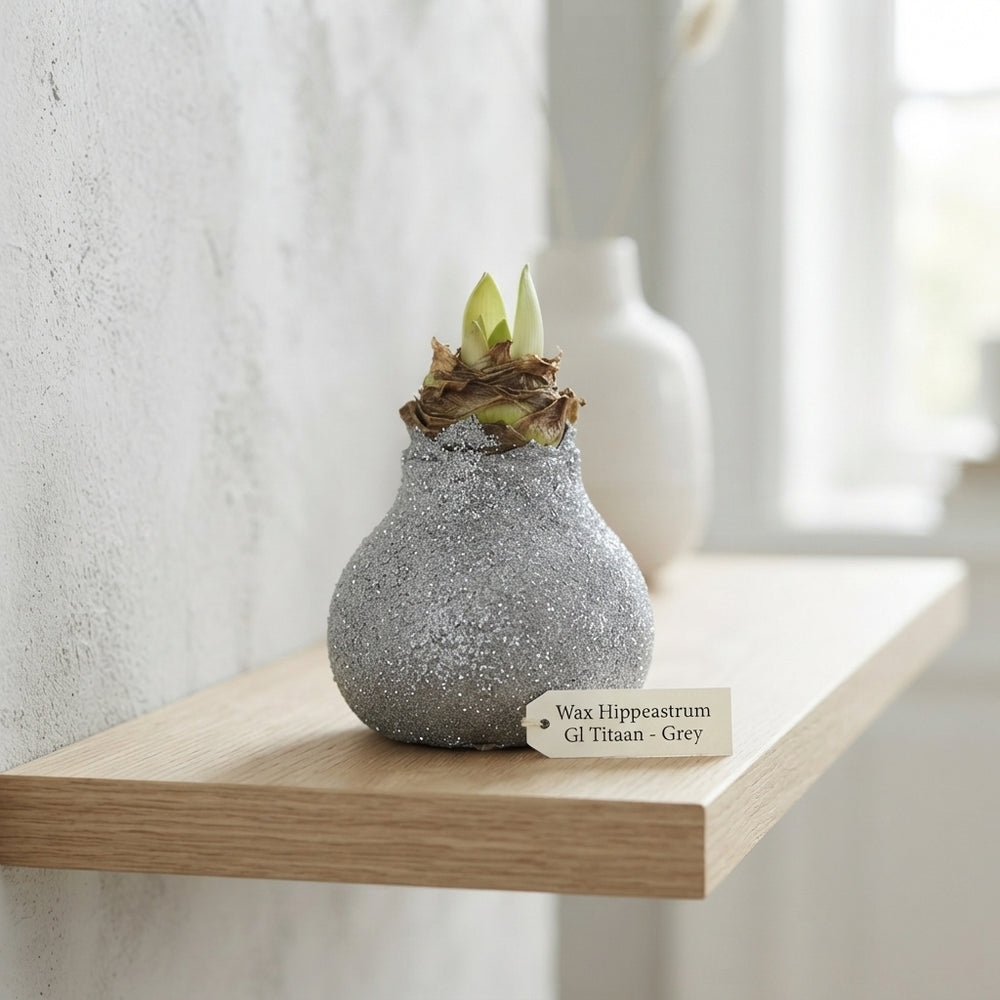 Grey Wax Hyacinth Decoration – 20cm