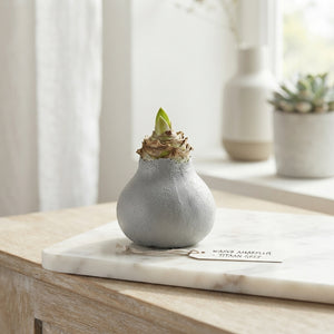 Grey Wax Hipp Titaan Christmas Decoration