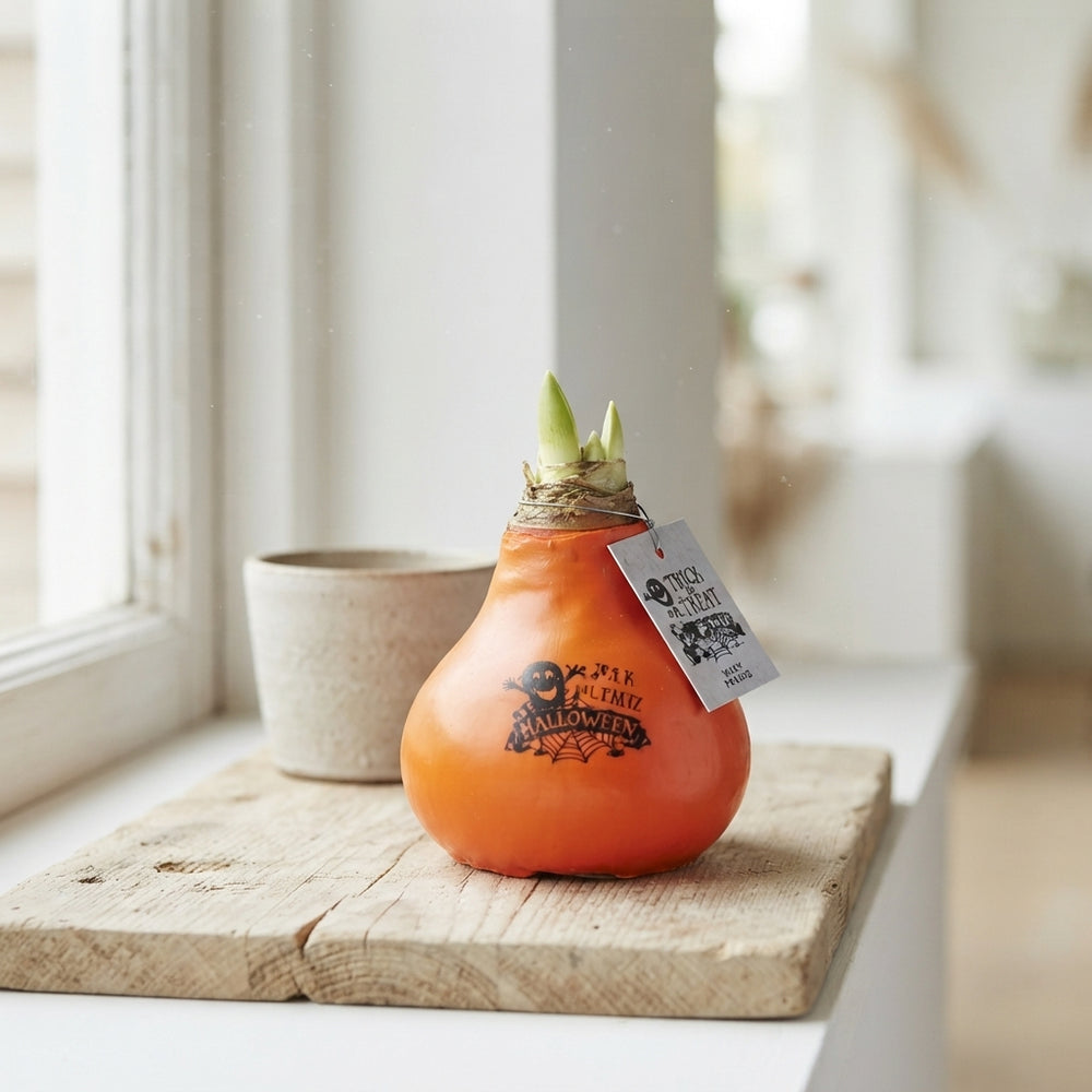 Orange Halloween Wax Decoration – 32cm