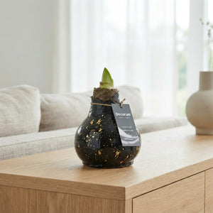 Wax Hipp Galaxy Black XL Christmas Decoration