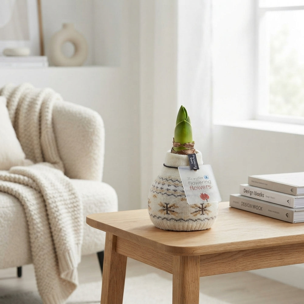 Wax Hipp Nordic Mix Christmas Decoration