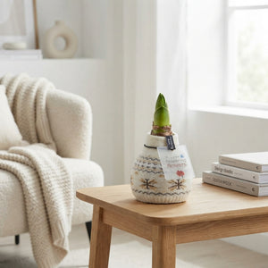 Wax Hipp Nordic Mix Christmas Decoration