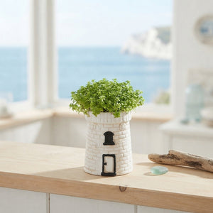 Mini Mixed Plant Arrangement – 14cm Ceramic Pot